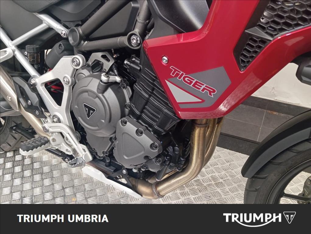 TRIUMPH Tiger 1200 GT Pro Abs