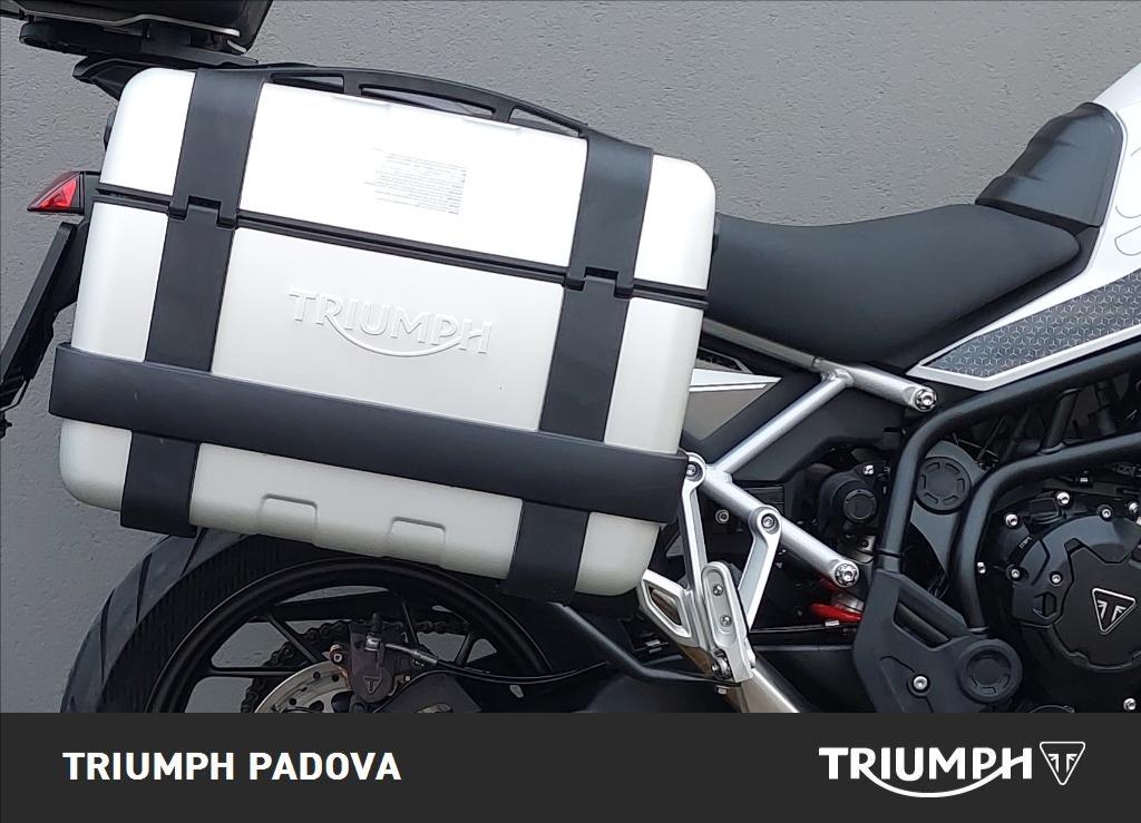 TRIUMPH Tiger 900 GT Pro Abs