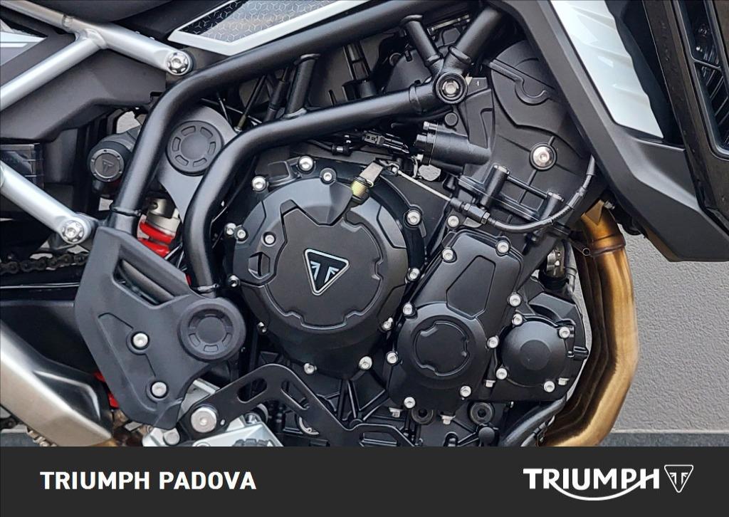 TRIUMPH Tiger 900 GT Pro Abs