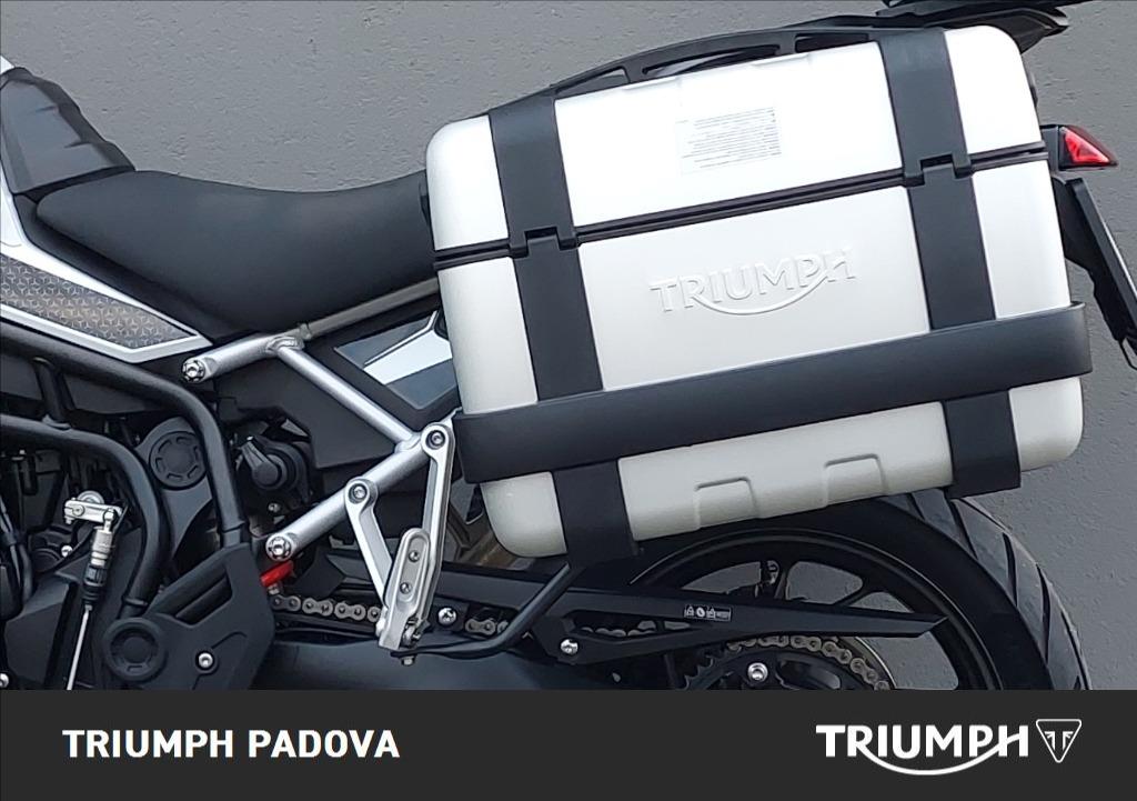 TRIUMPH Tiger 900 GT Pro Abs