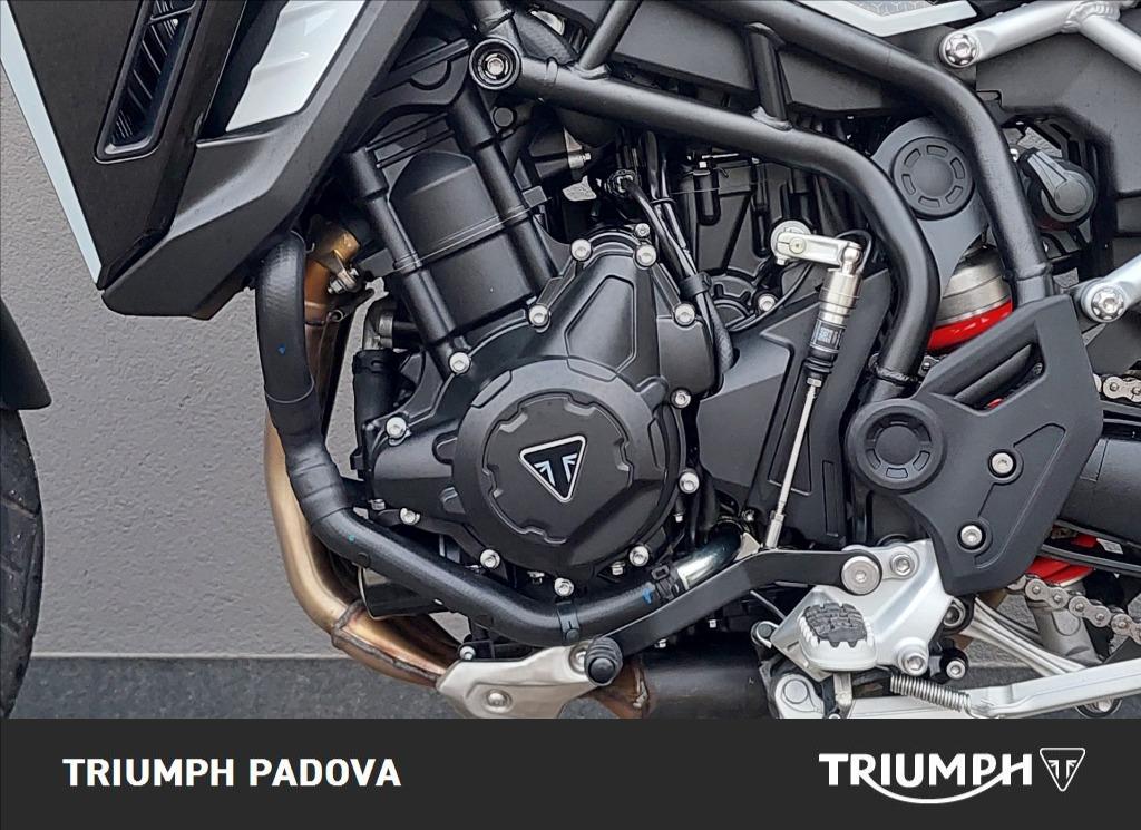 TRIUMPH Tiger 900 GT Pro Abs