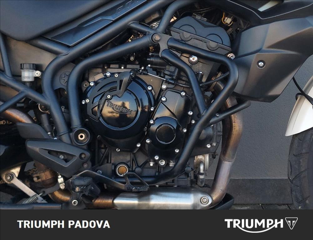 TRIUMPH Tiger 800 