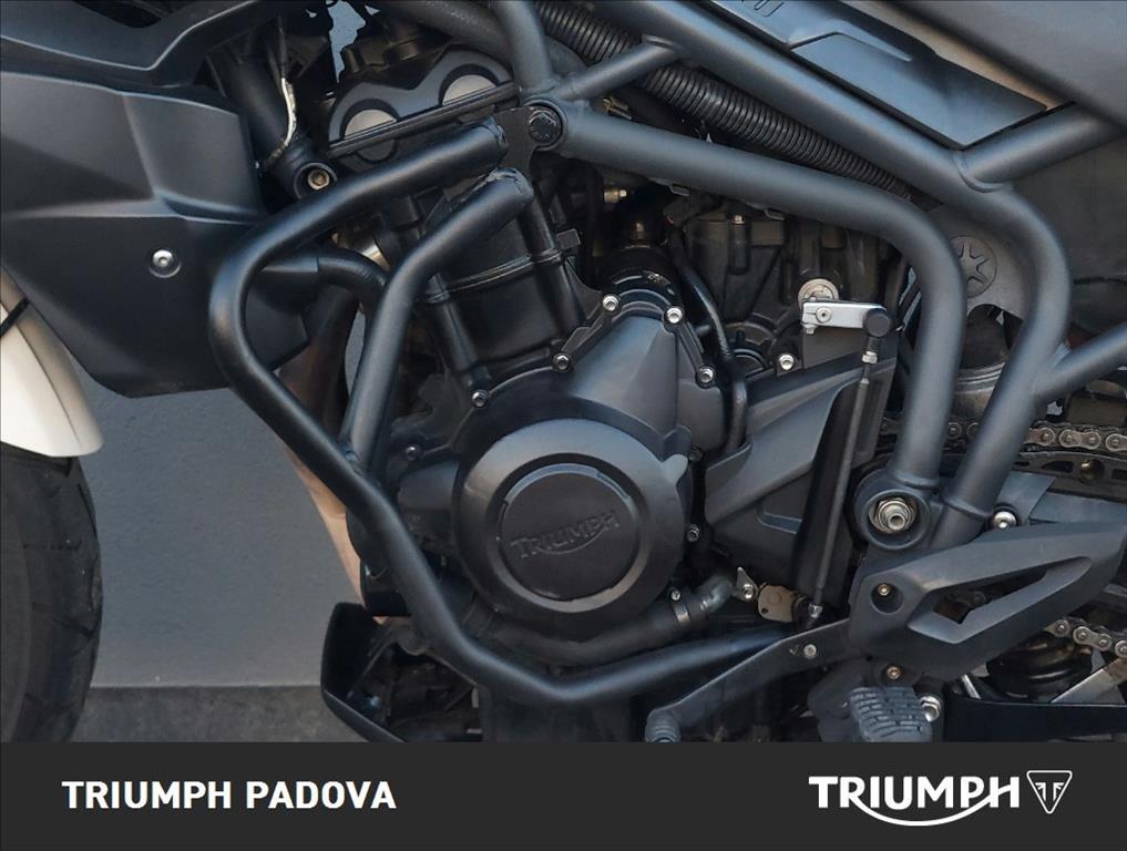 TRIUMPH Tiger 800 