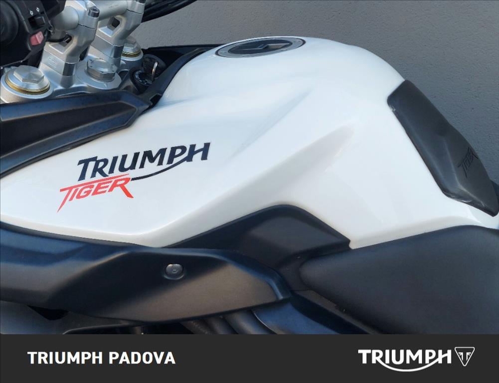 TRIUMPH Tiger 800 