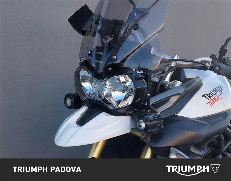 TRIUMPH Tiger 800 