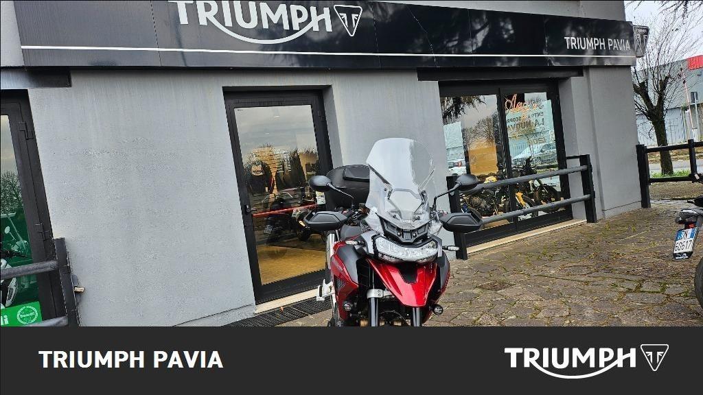 TRIUMPH Tiger 1200 GT Pro Abs