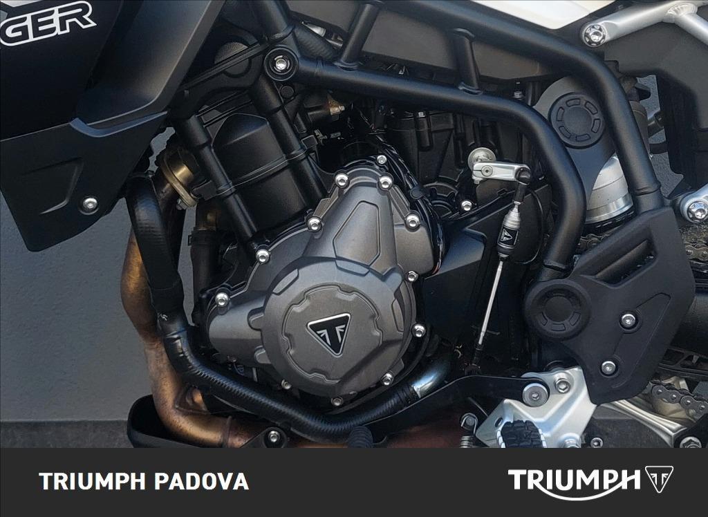 TRIUMPH Tiger 900 GT Abs