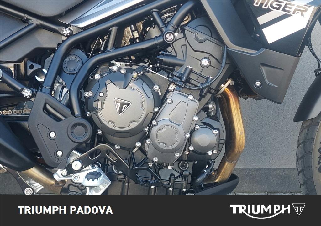 TRIUMPH Tiger 850 Sport Abs