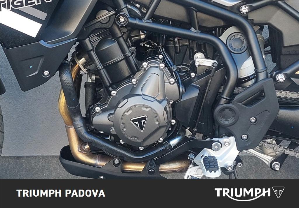 TRIUMPH Tiger 850 Sport Abs