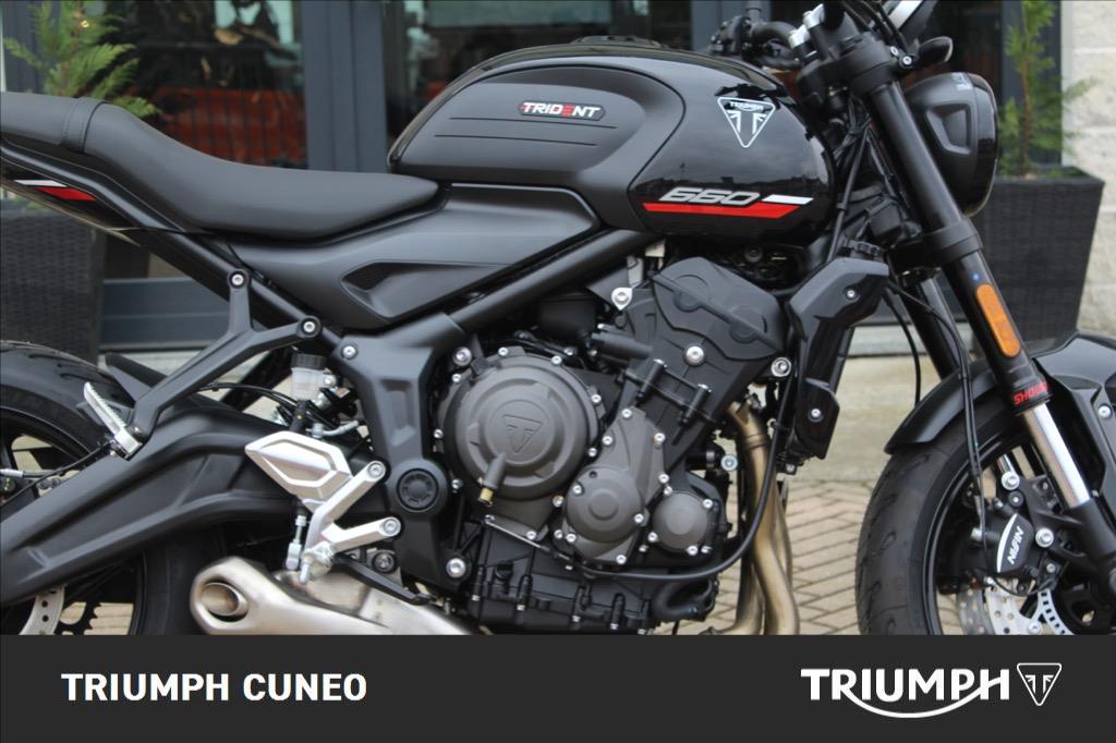 TRIUMPH Trident 660 Abs